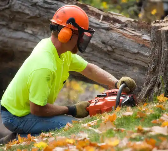 tree services Varnamtown